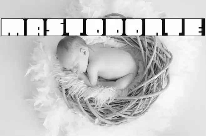 Mastodonte Font examples