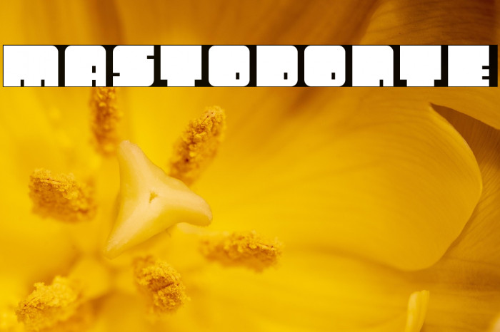 Mastodonte Example 3