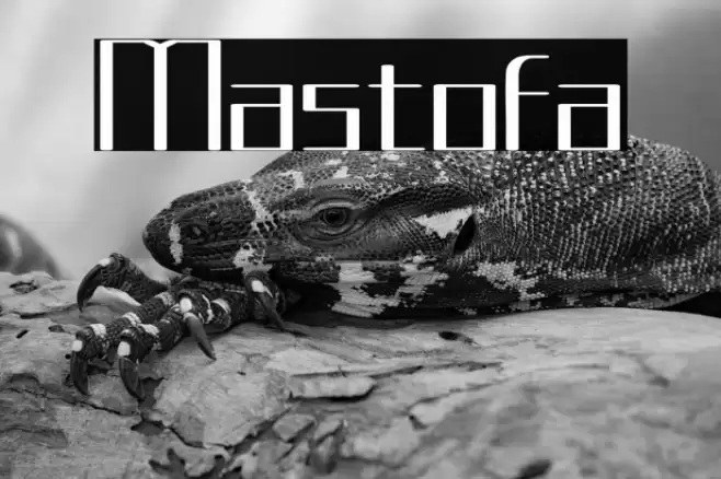 Mastofa Font examples