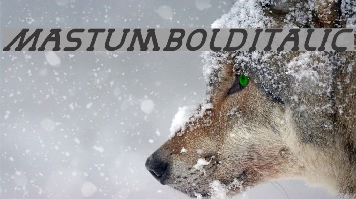 MastumBoldItalic Font examples