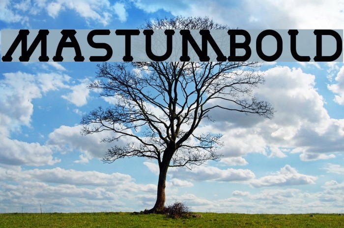 MastumBold Example 2
