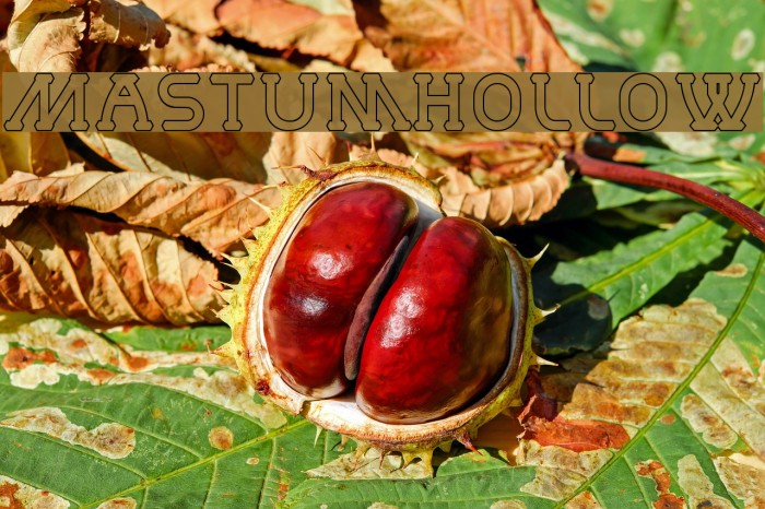 MastumHollow Font examples
