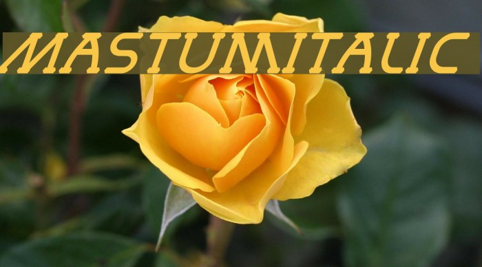 MastumItalic Font examples