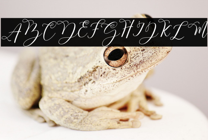 Mastura-Regular Example 1