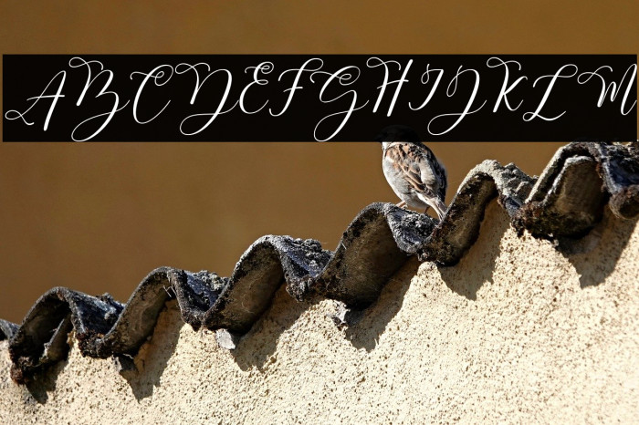 Mastura-Regular Example 2