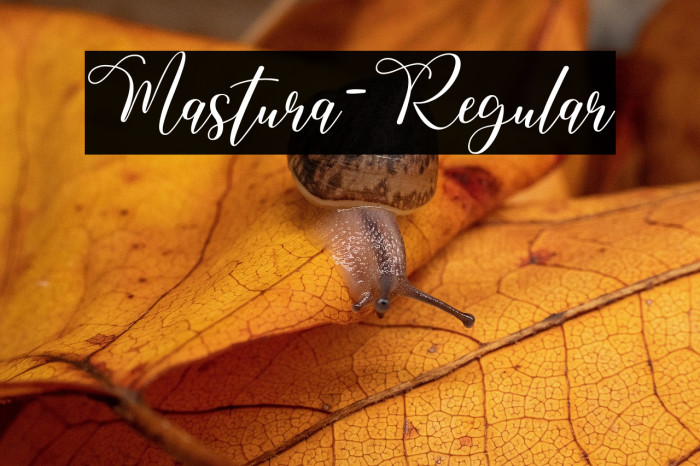 Mastura-Regular Example 1