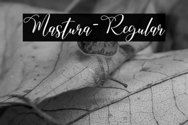 Mastura-Regular Caratteri examples