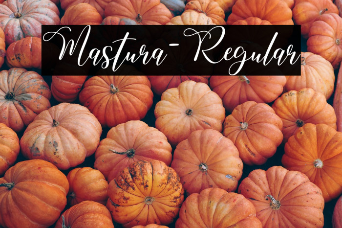 Mastura-Regular Example 3