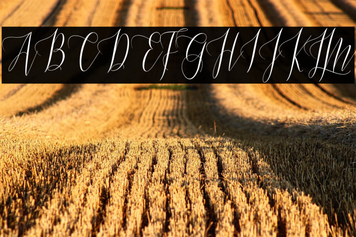 Masturascript Example 3