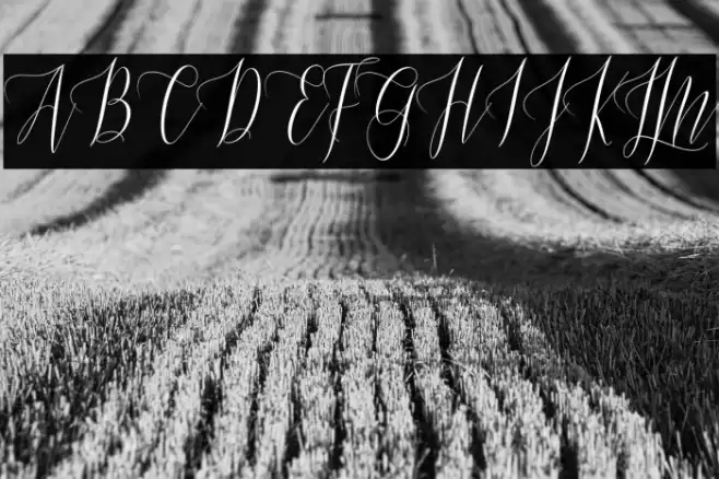 Masturascript Font examples