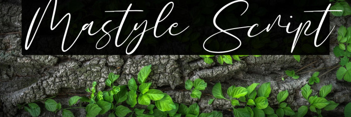 Mastyle Script Example 2
