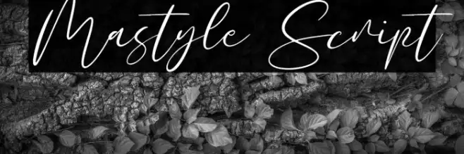 Mastyle Script Example 2