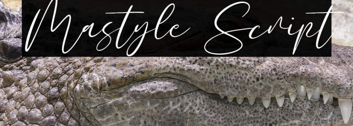 Mastyle Script Example 3