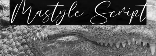 Mastyle Script Example 3