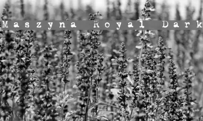 Maszyna Royal Dark Font examples