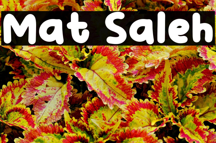Mat Saleh Example 2