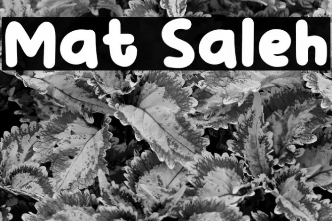 Mat Saleh Fonte examples