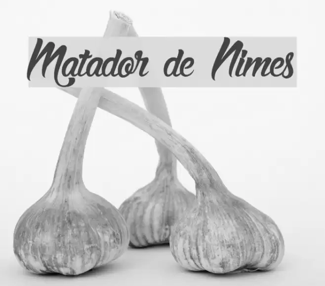 Matador de Nimes Font examples