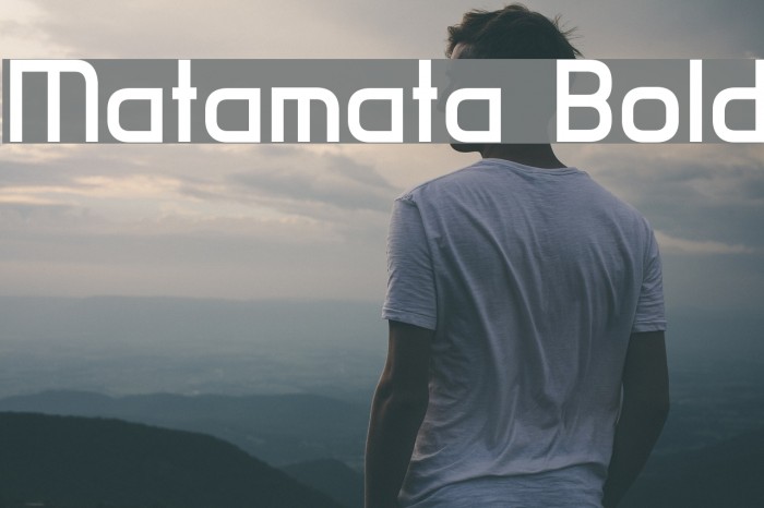 Matamata Bold Font examples