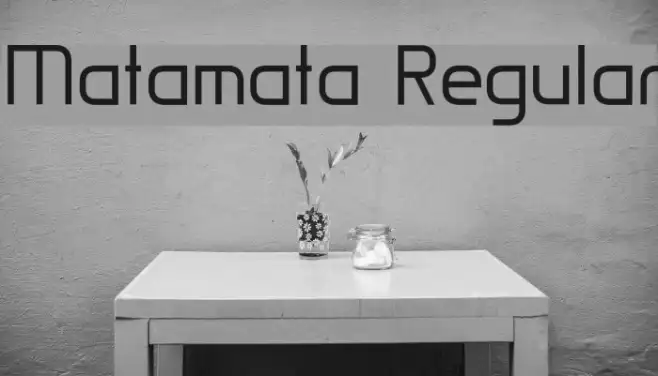 Matamata Regular Example 3