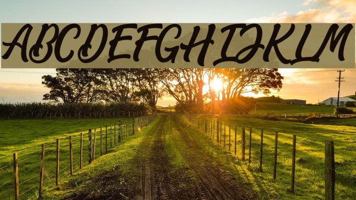 MatanePersonalUseOnly-Script Example 2