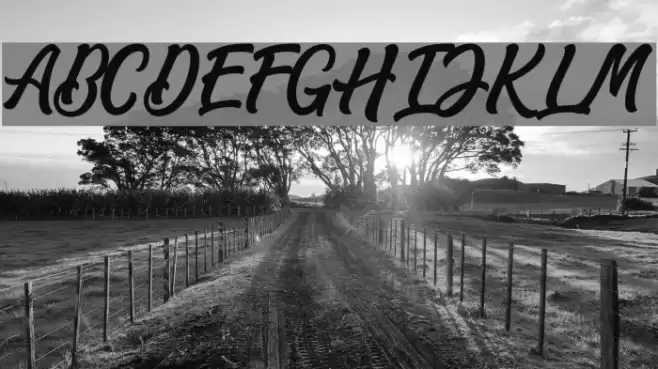 MatanePersonalUseOnly-Script Font examples