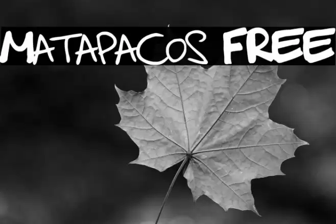 Matapacos FREE Font examples