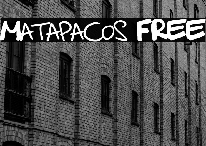 Matapacos FREE Example 2