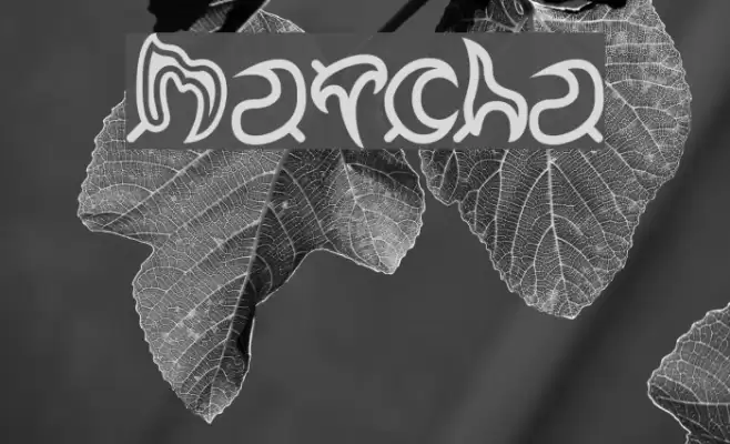 Matcha Font examples