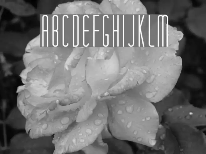 Matchbook Font examples