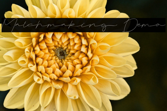 Matchmaking Demo Example 1