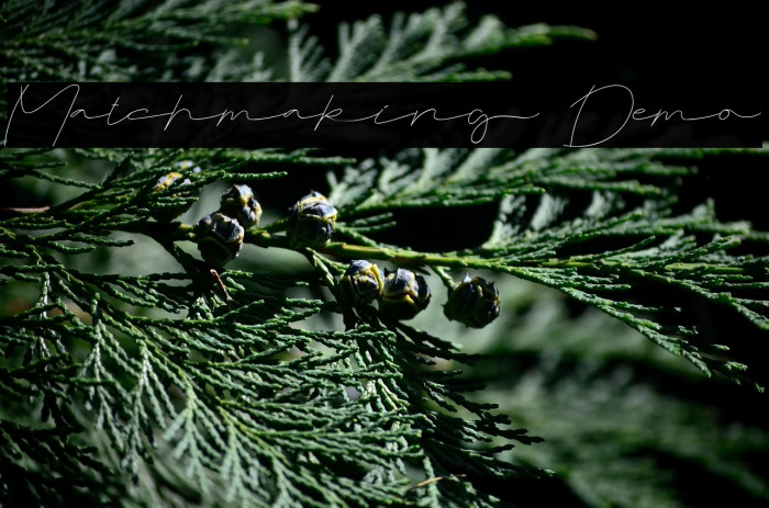 Matchmaking Demo Example 2