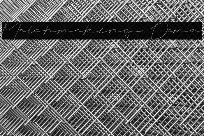 Matchmaking Demo Example 3