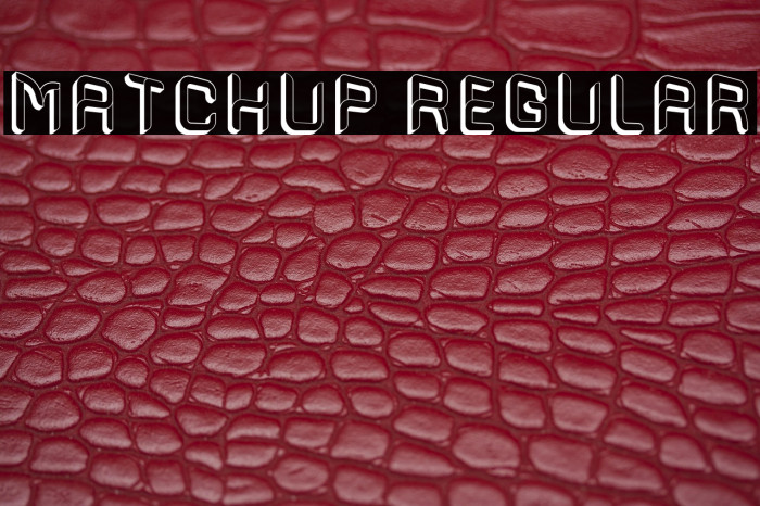 Matchup Regular Example 2