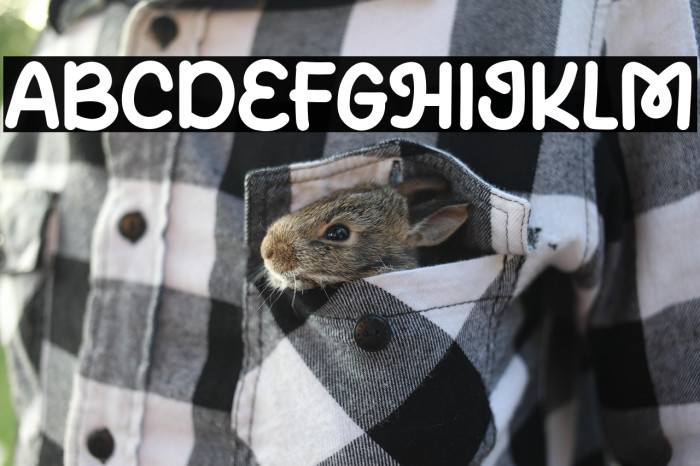 Mate Journal Example 2