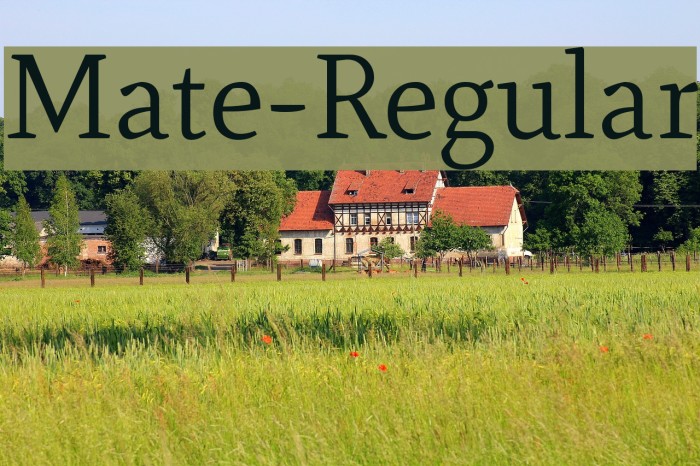 Mate-Regular Font examples