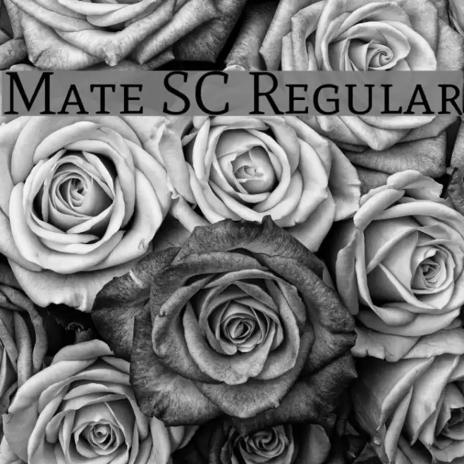 Mate SC Regular Font examples