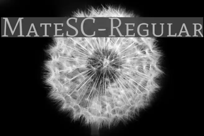 MateSC-Regular Font examples