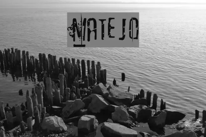 Matejo Example 1
