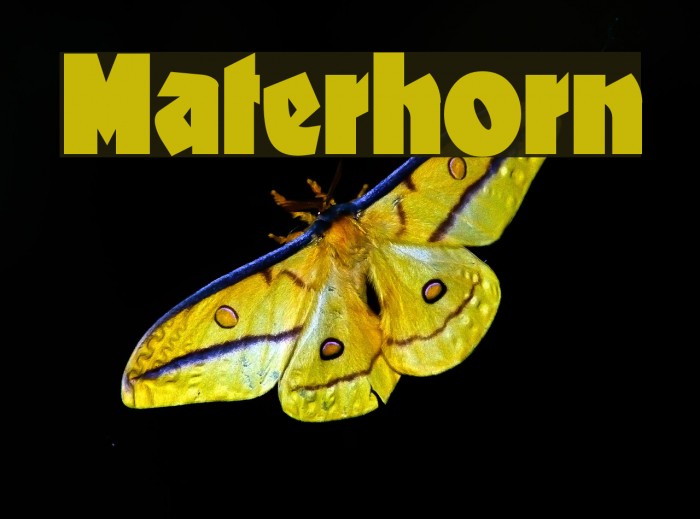 Materhorn Font examples