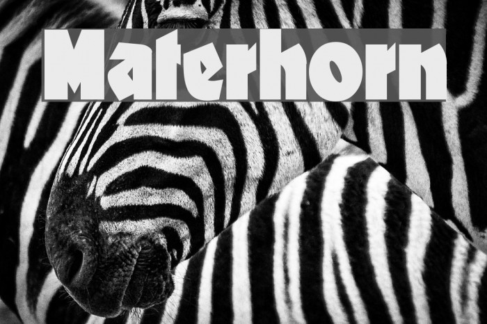Materhorn Font examples