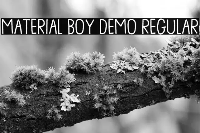 Material Boy DEMO Regular Example 2
