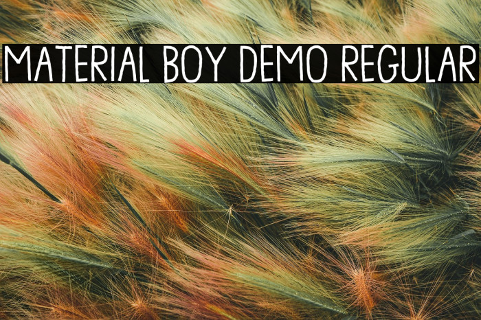 Material Boy DEMO Regular Example 3