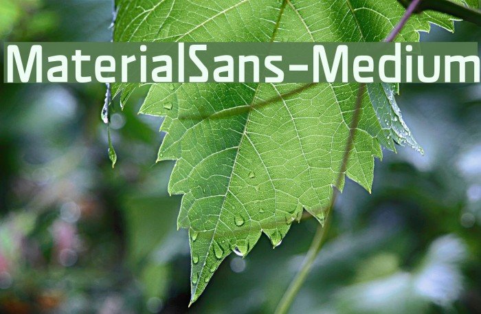 MaterialSans-Medium Fuentes examples