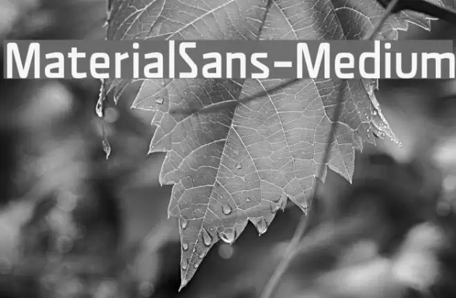 MaterialSans-Medium Font examples