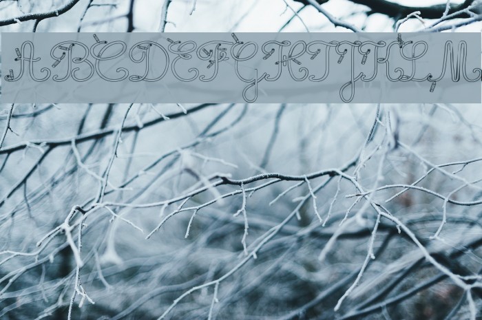 Maternellecolor creuse Font examples
