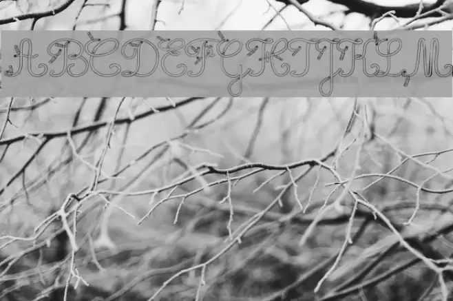 Maternellecolor creuse Font examples
