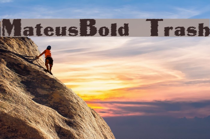 MateusBold Trash Example 1