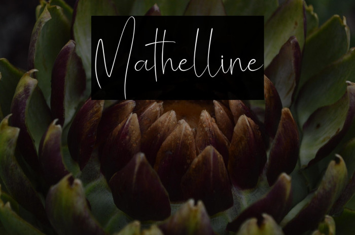 Mathelline Example 2