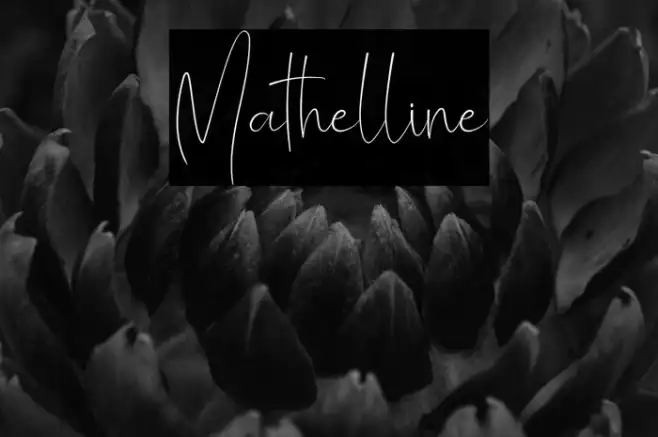 Mathelline Example 2